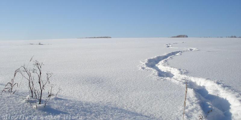 Долг родине