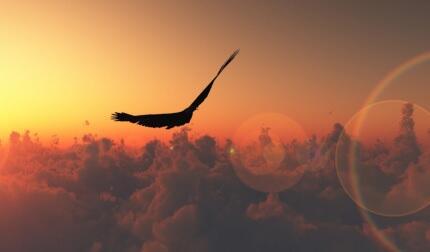 Распевающий аллилуя