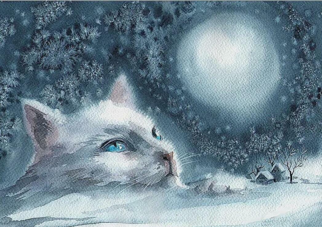 ...кот. сон. ноябрь и снег...