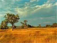 Исчезну я - что дальше будет?