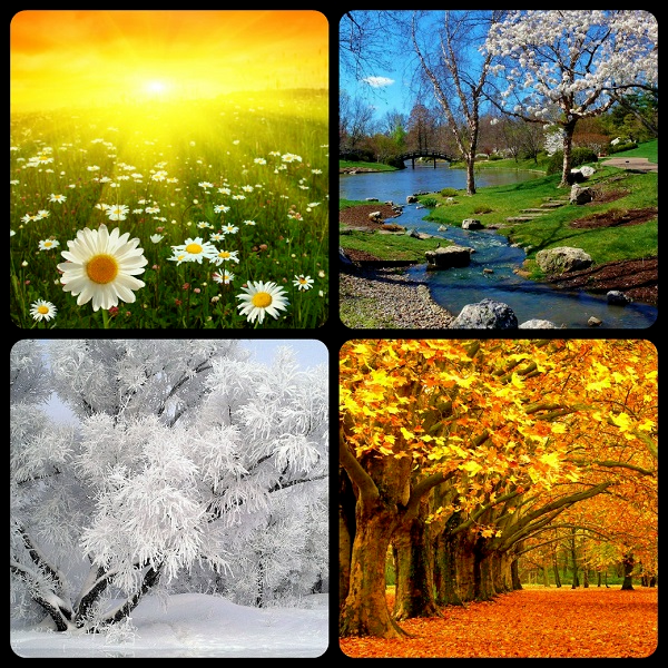 Времена года (анациклы)