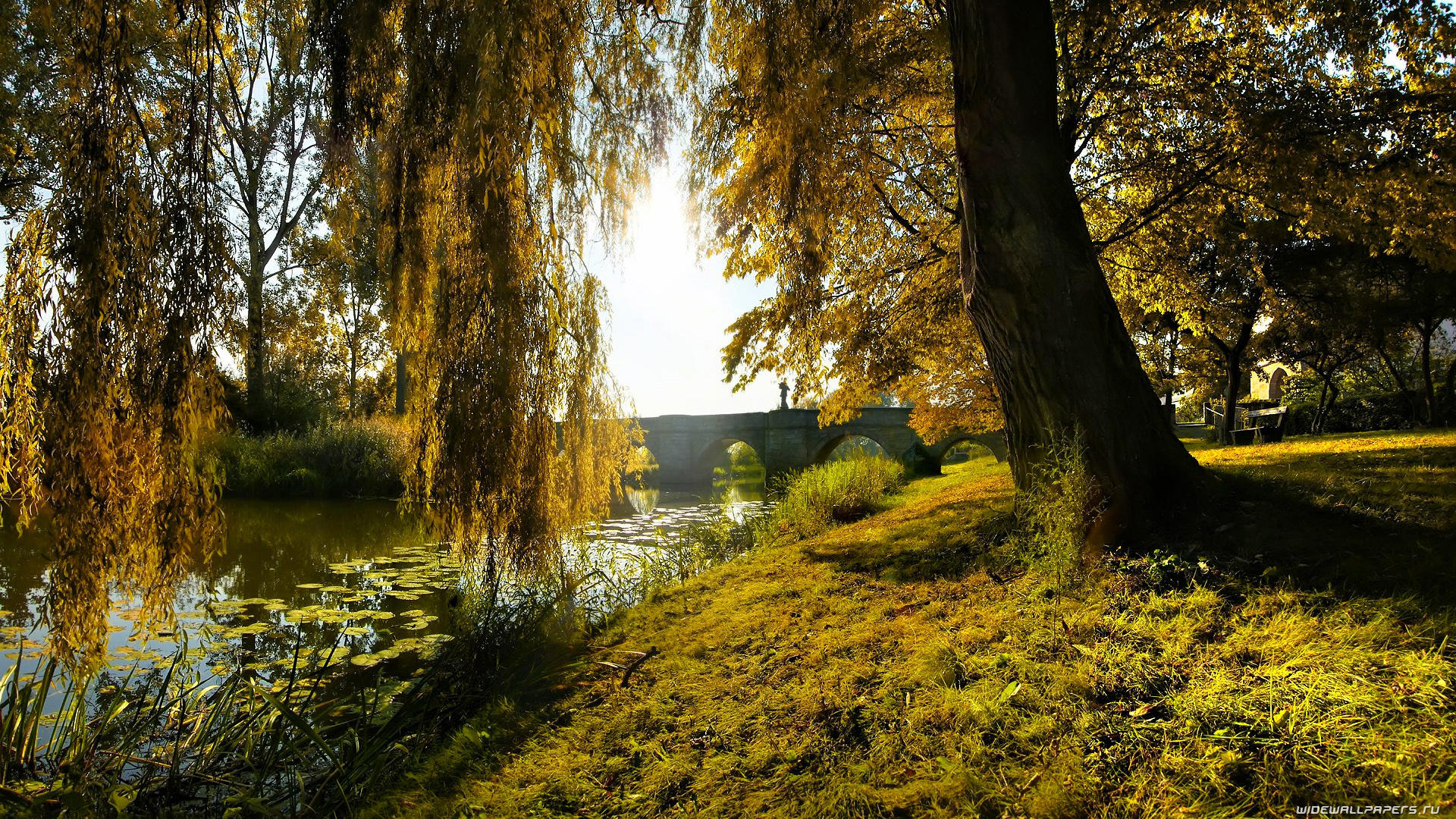 К В* (А.Ладыгин)