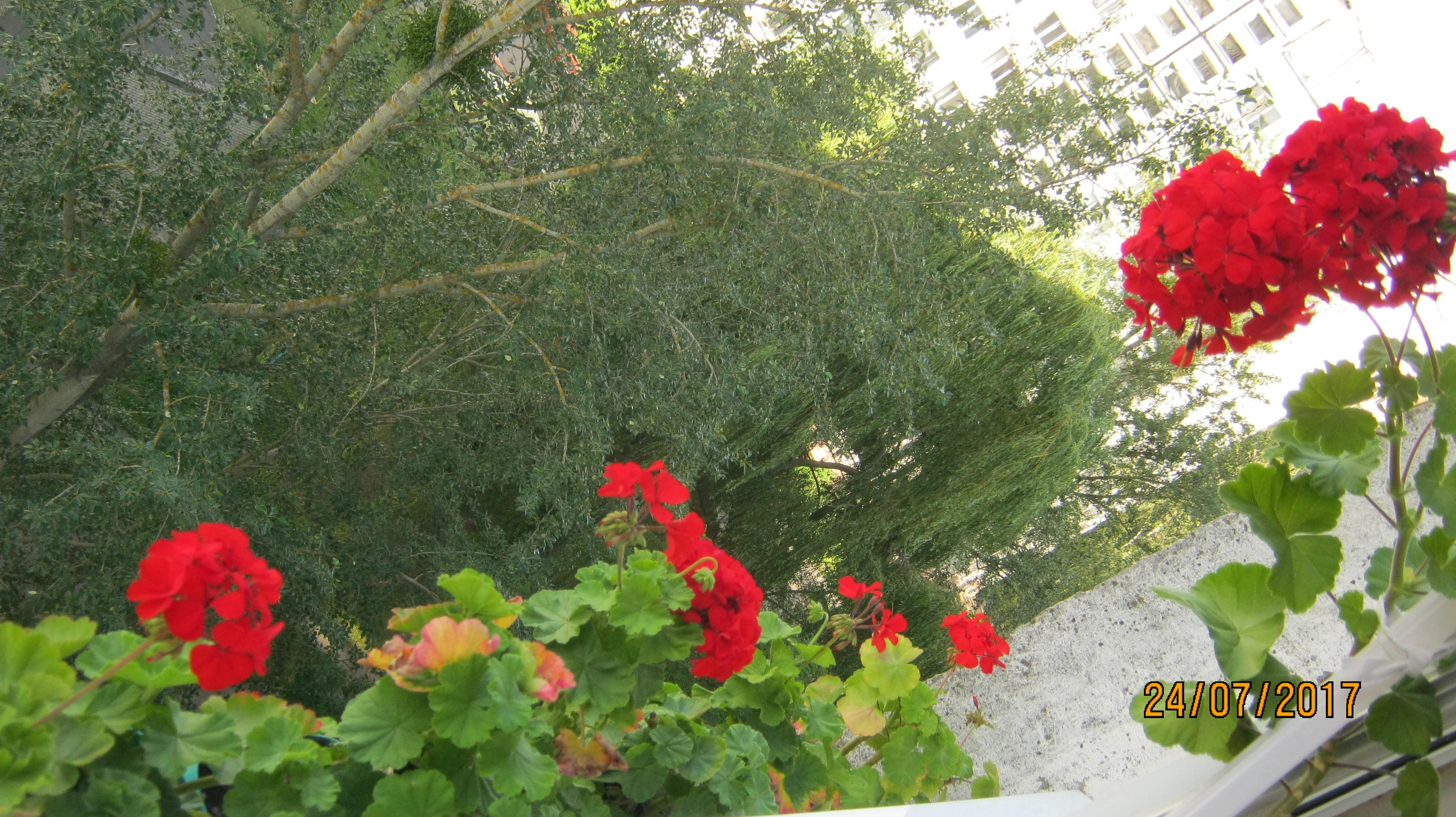 КРАСОТА СПАСАЕТ МИР