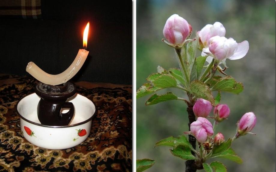 Мне куча лет, а тебе 18