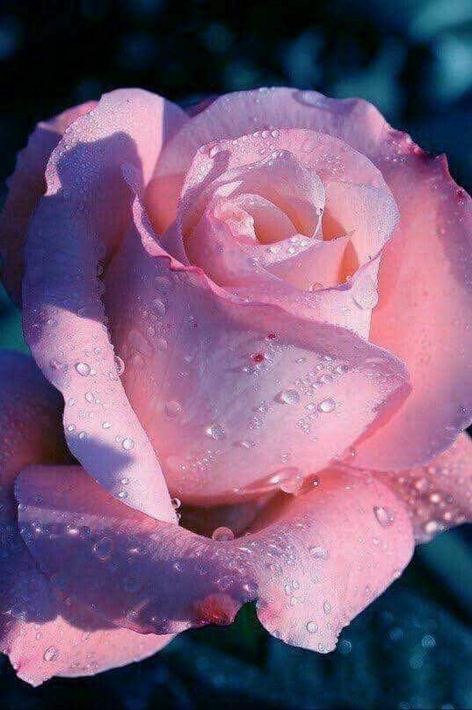 Я так влюблён ...