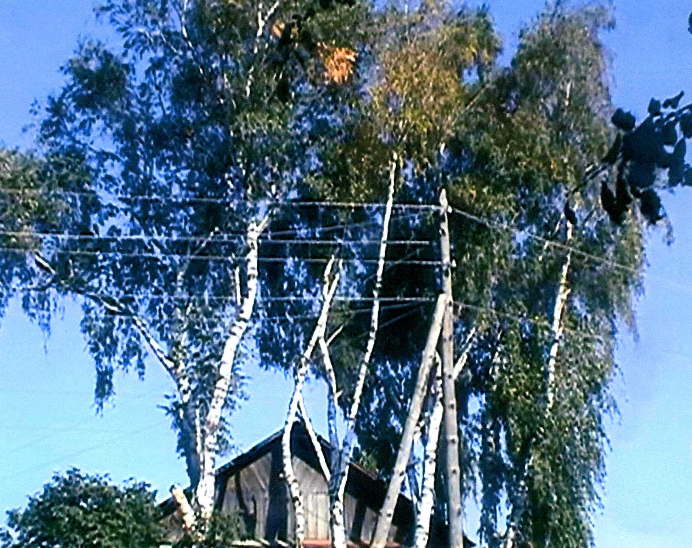 ЧАСТО МНЕ ДЕТСТВО,,,