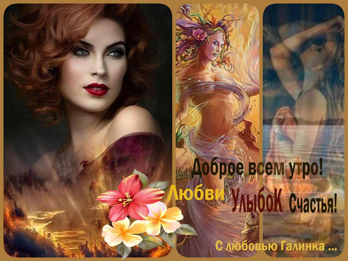 Я выпью в этих красках твоё утро,     Галинка Багрецова