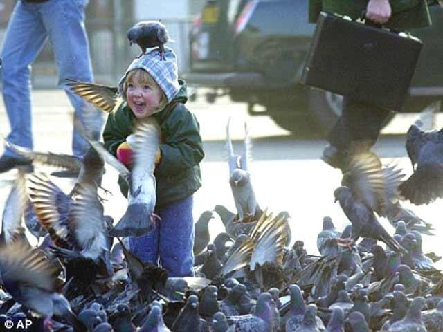 Сегодня первый день весны.