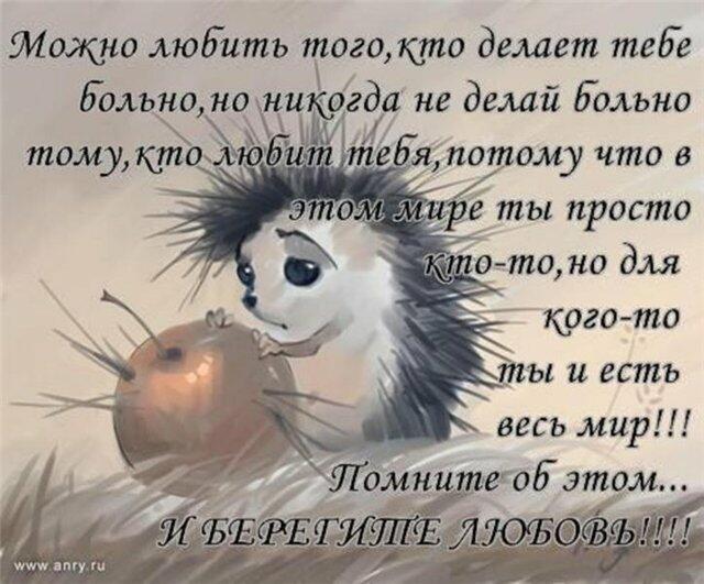 С тобой влюблённых два ежа