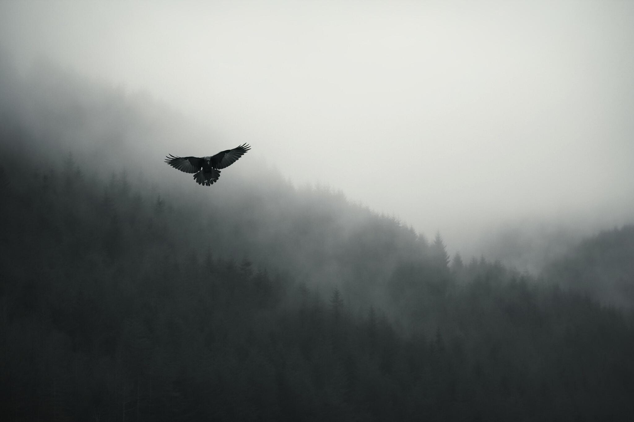 И маятник уже не качнется...