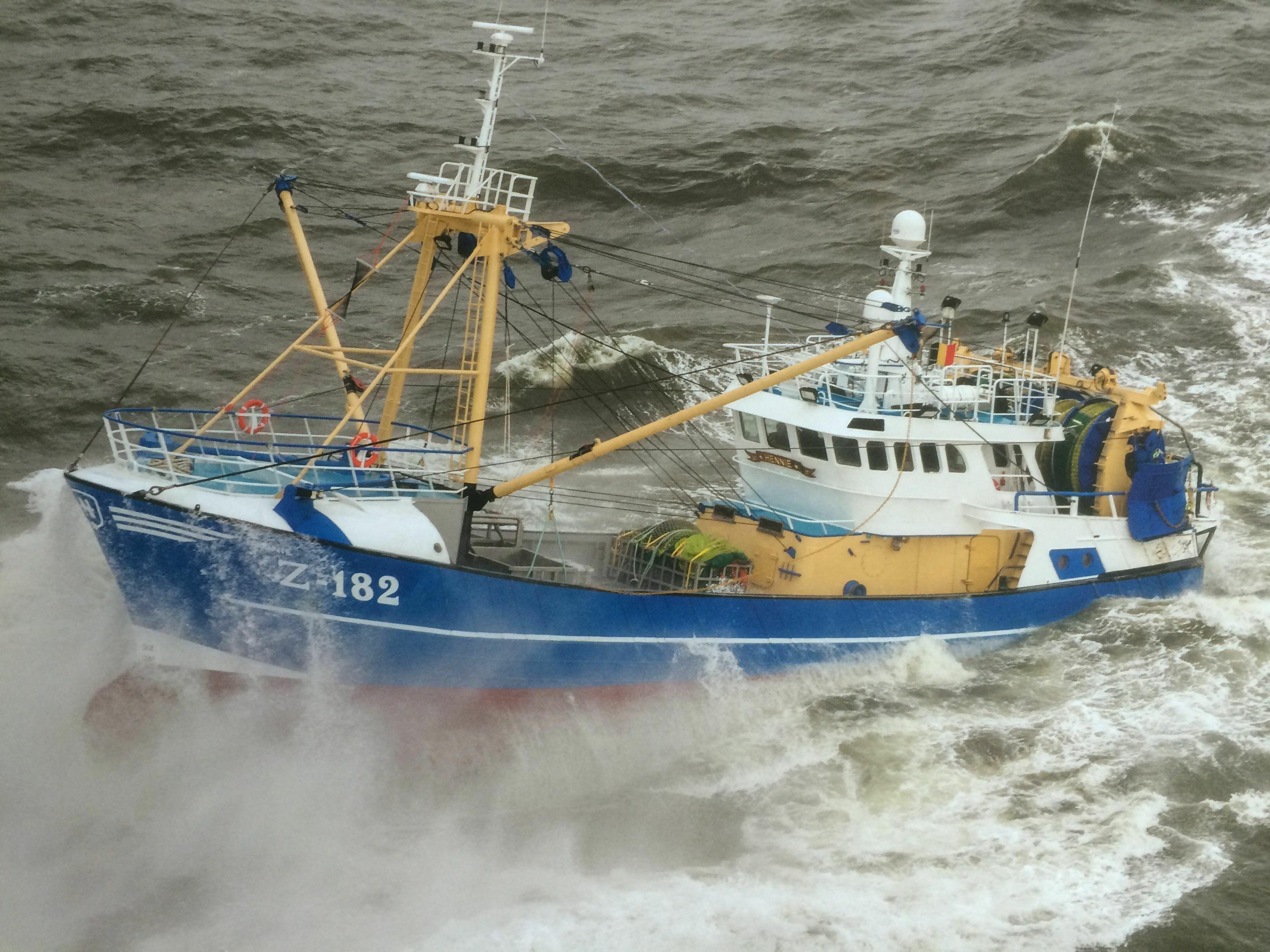 ВЕРИТЬ  И  ЖДАТЬ