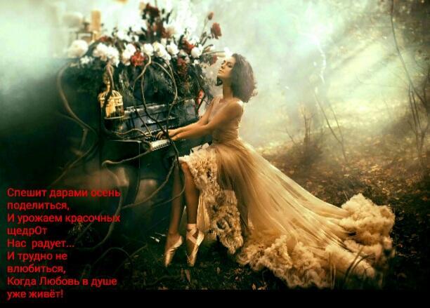 Осенние ощущения 