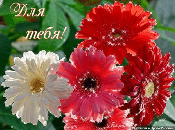 Прекрасное имя Татьяна от 16. 01. 2020г