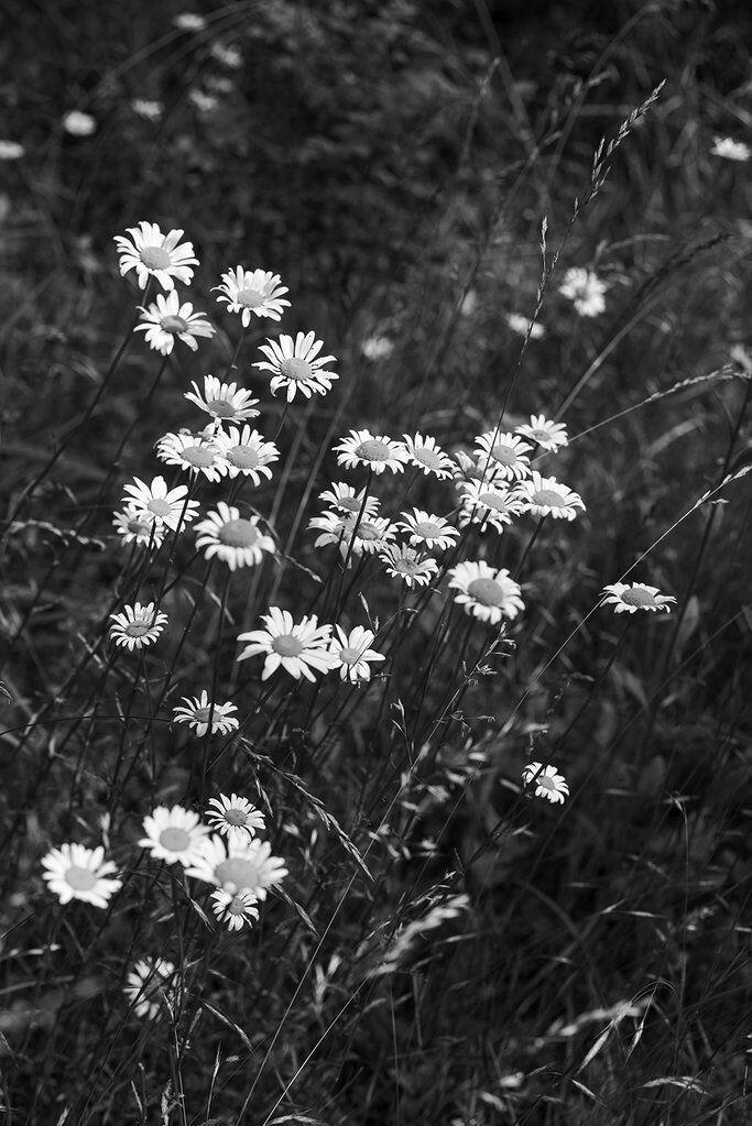 Мне бы с тобой...
