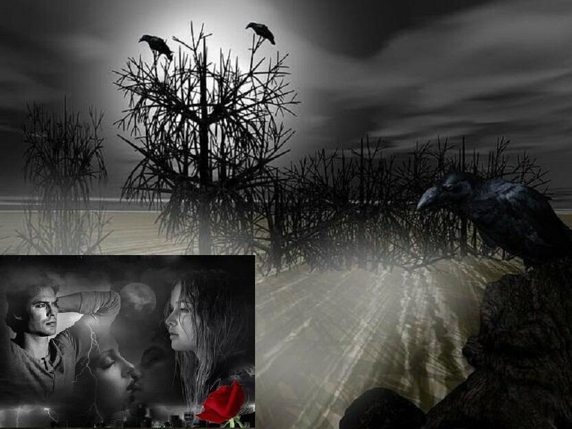 Ты прости, коль тебя украду