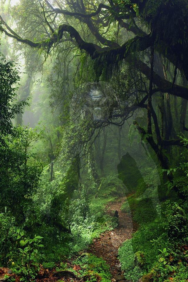 там, на неведомых дорожках