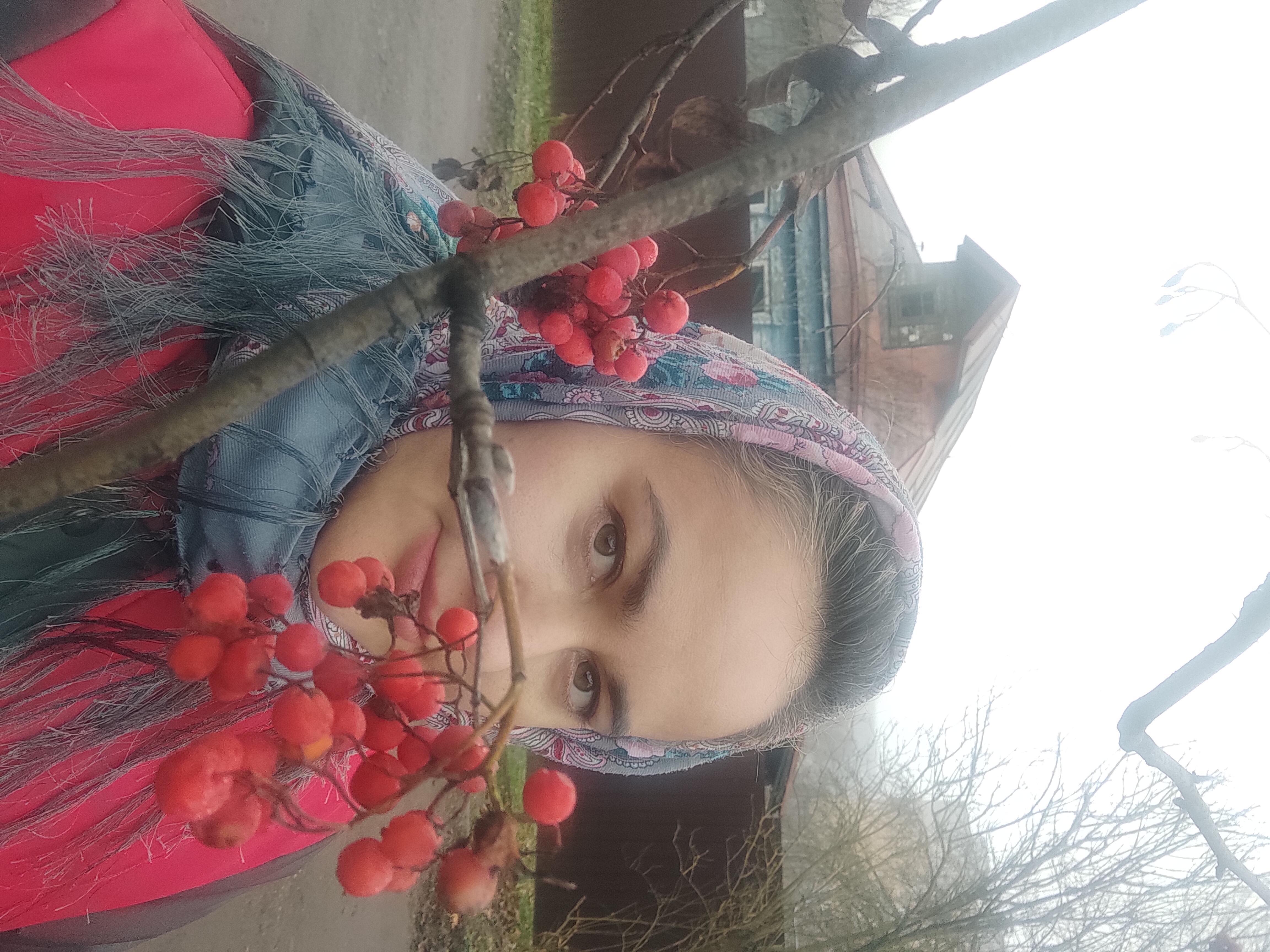 Красна девица - рябина