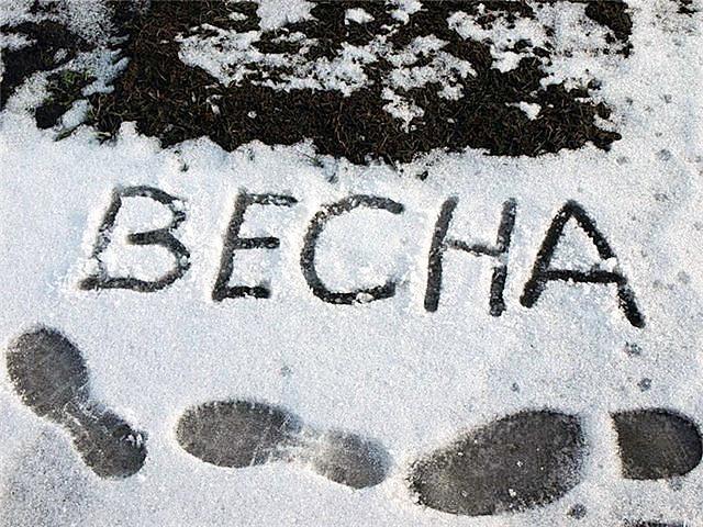 Я теперь не верю весне…