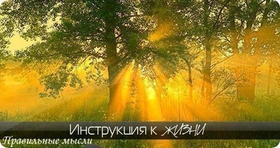 Живи, как будто завтра ты умрешь