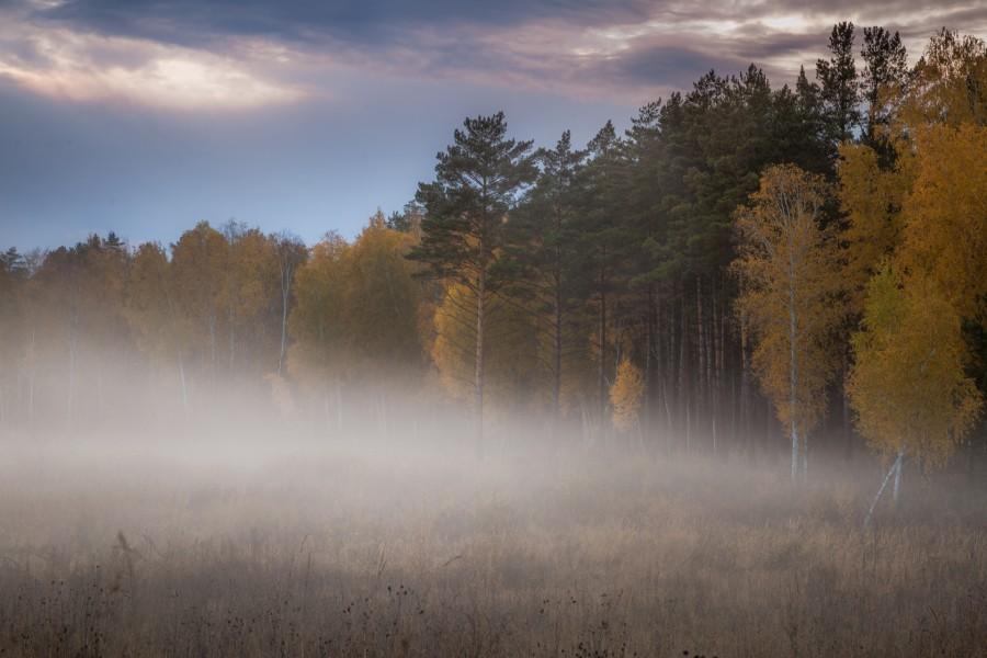 Кружатся листья...