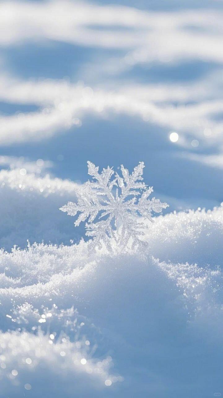 Белоснежное