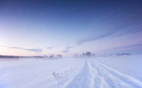 Всё земное, пока не отдаст...
