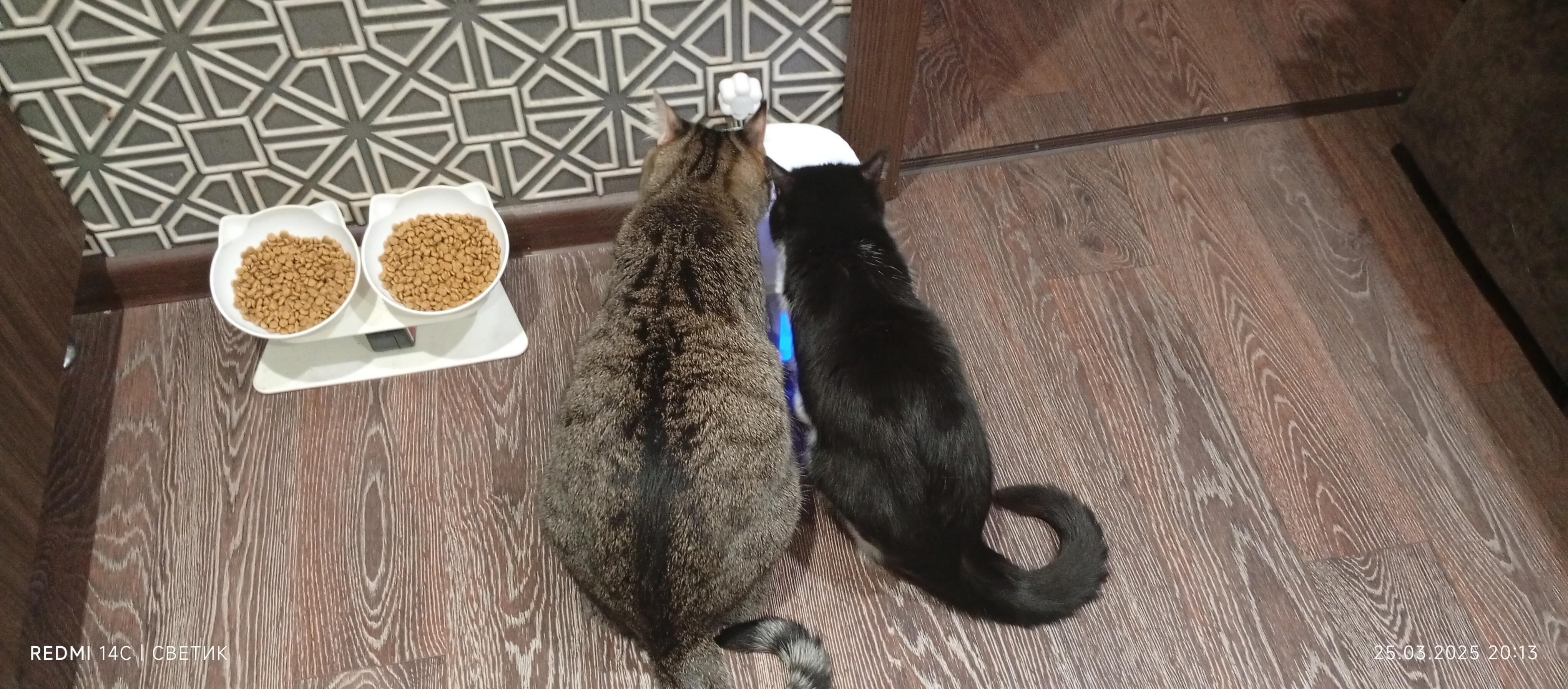 Мои успокоительные...