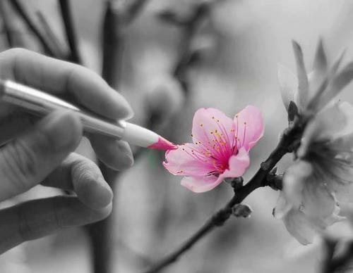 Настанет время...