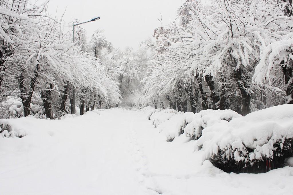 Рыхлый снег это какой. Рыхлый снег. Рыхлый. Фото рыхлый снег в феврале в Орле.