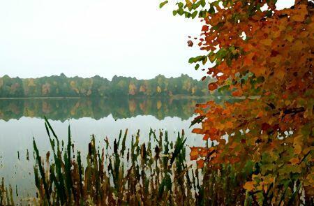Вновь меня осень пленила