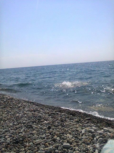 Нет,  не поеду в отпуск этим летом