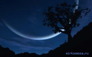 Подарю тебе я звёздный луч (конкурсное)