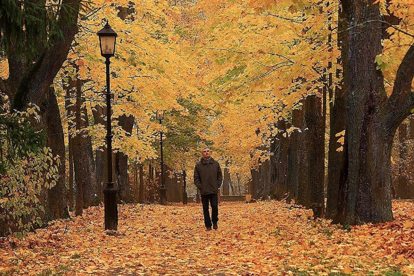 Экскурсовод