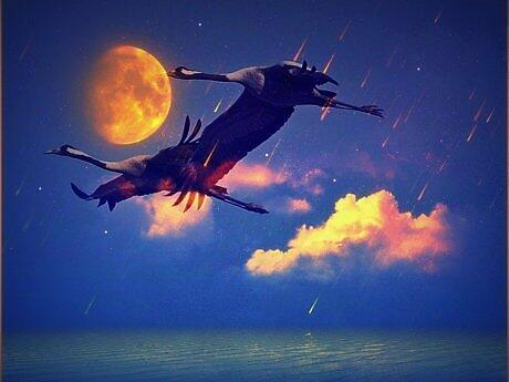 Я ТАК ХОЧУ...