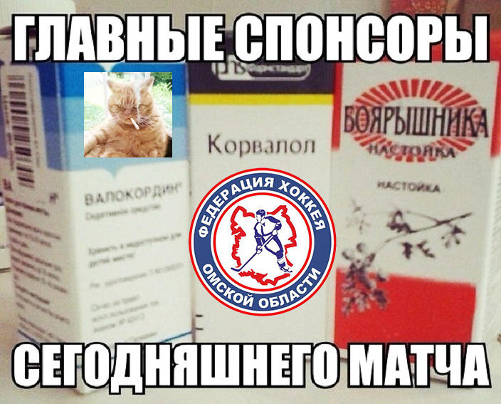 Кот и хоккей!