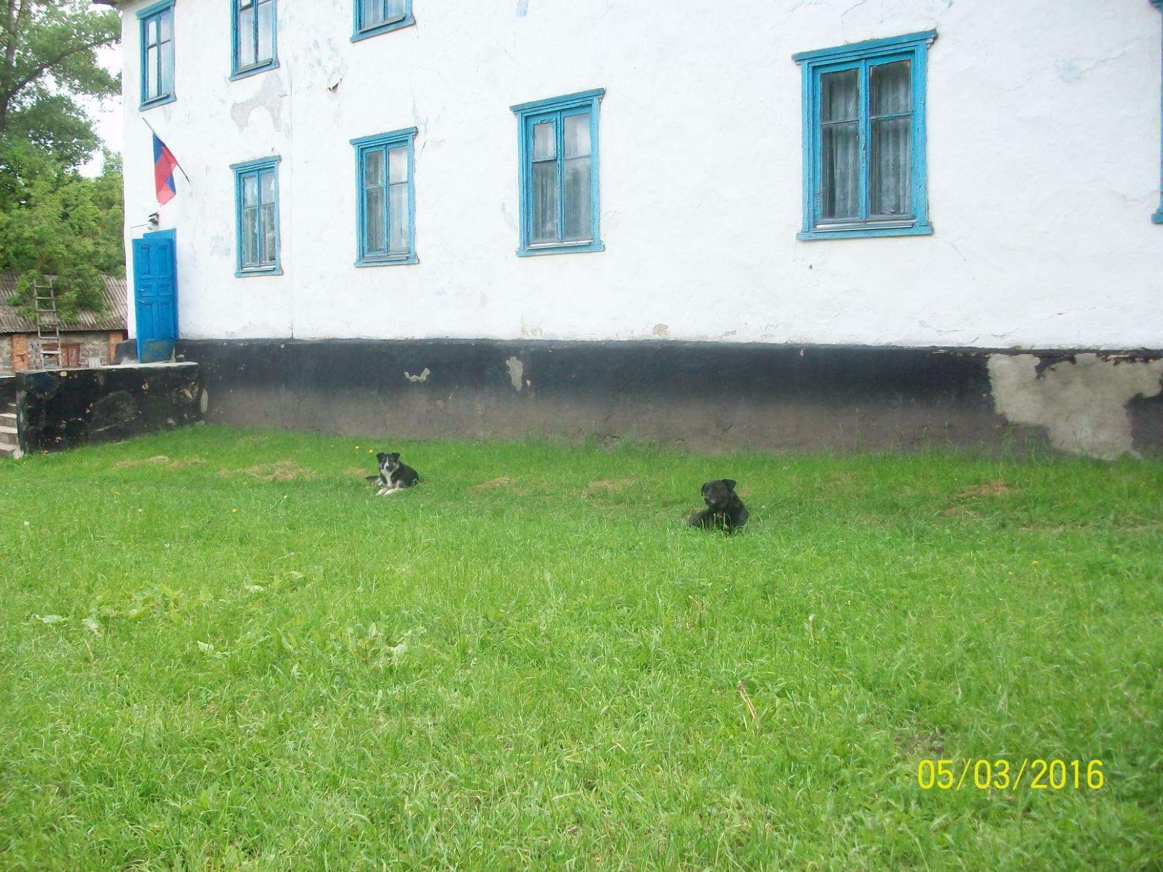 В селе Пруды закрыли школу