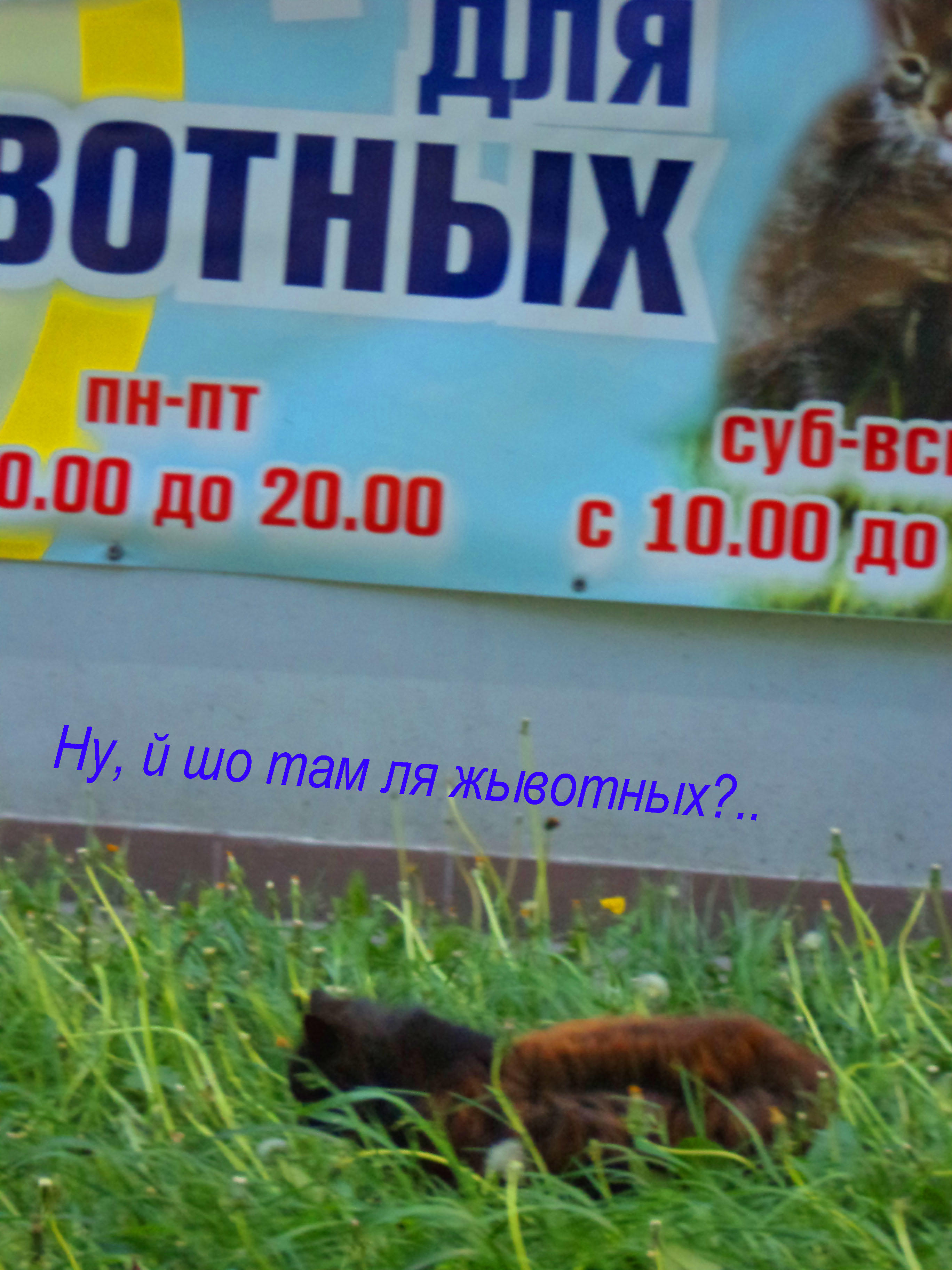 Даша ножкы мочыла