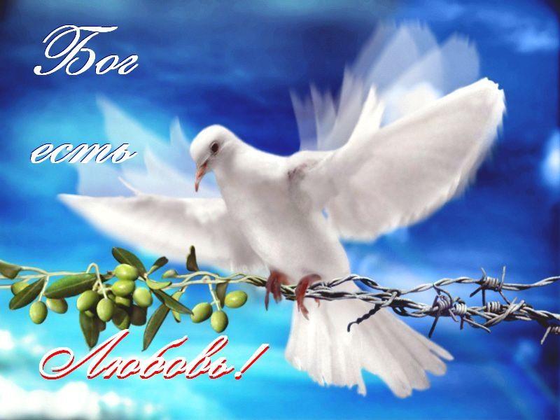 От Бога всё дается нам