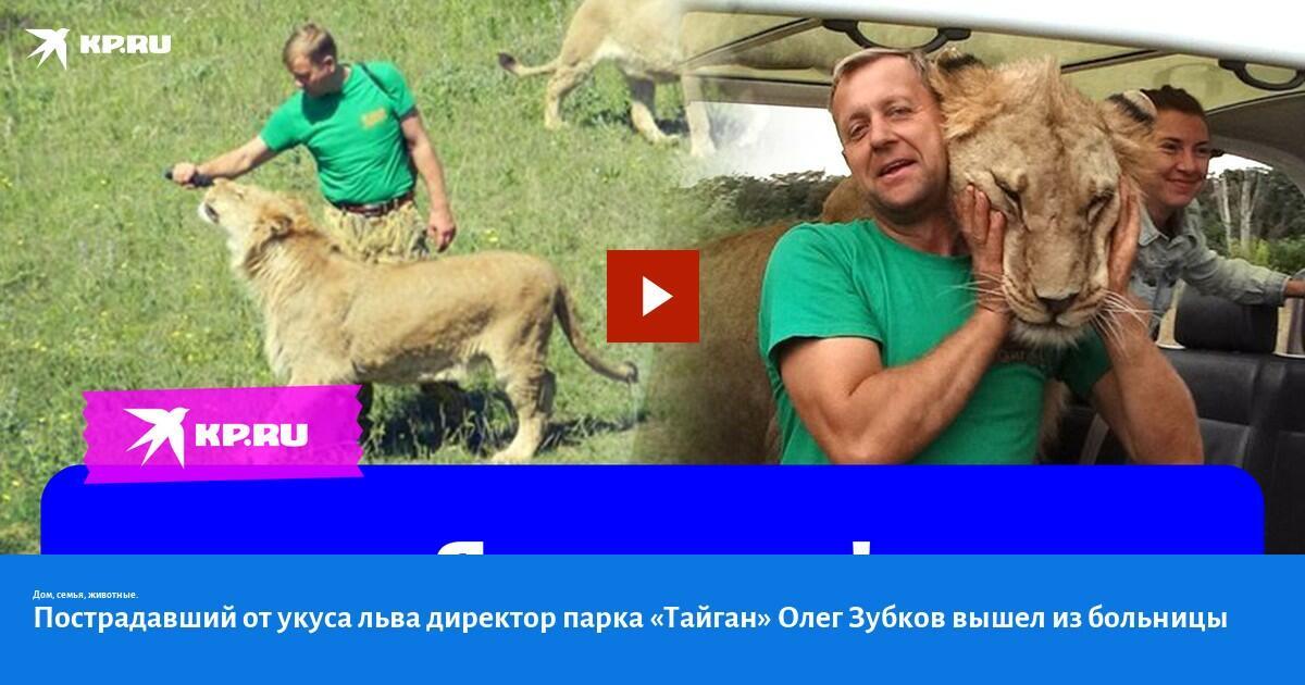 ЛЬВЫ  ЖДУТ...