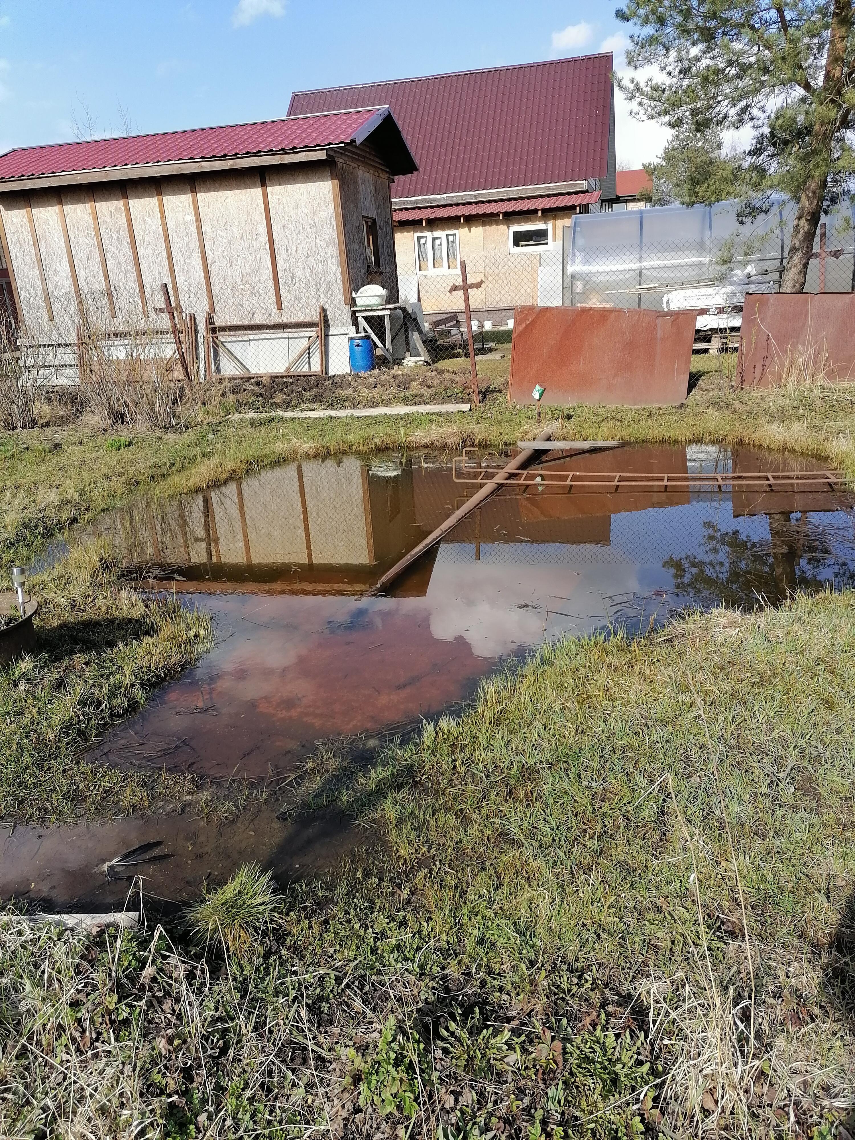 Из берегов... 