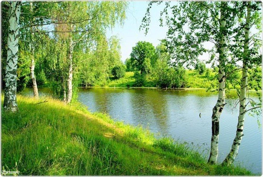 У берега реки