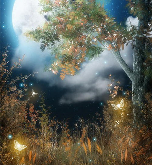 Добрый сон.