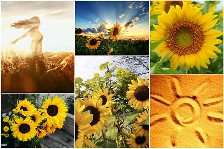 Почему же не ищем света...