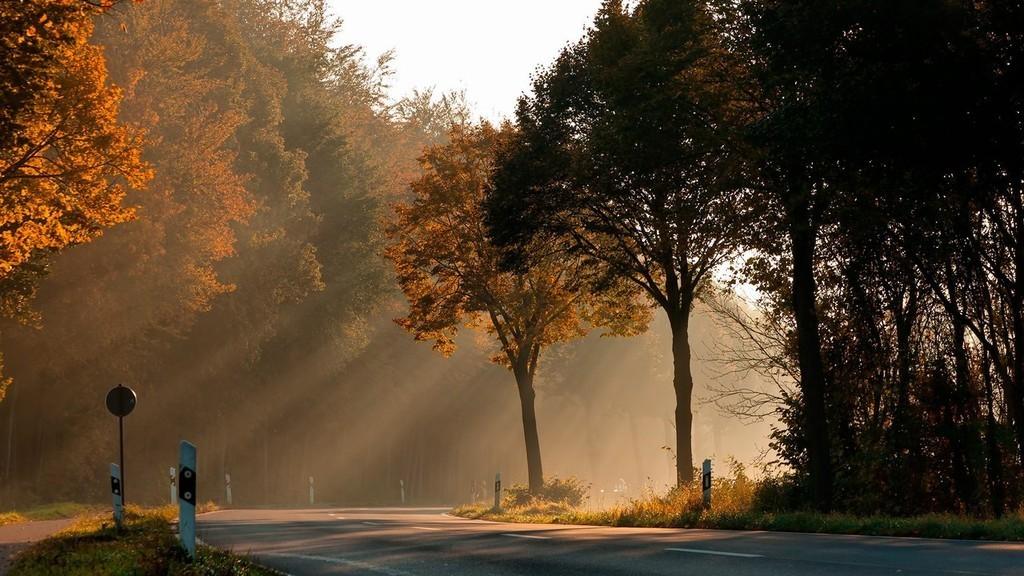 Возврат к разврату