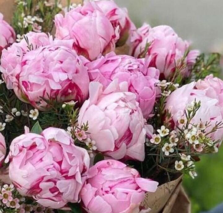 Букет пионов. 