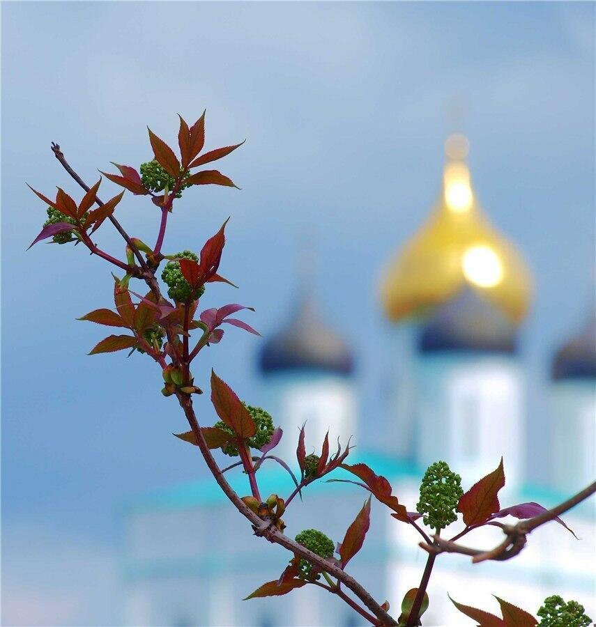 "Мне в этот день легко дышалось..." (12.06.2020)