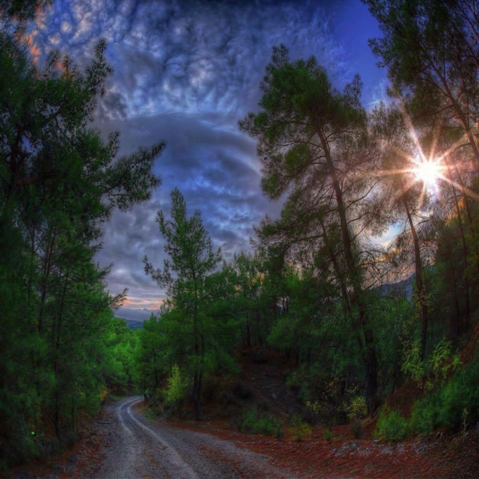 волшебная ночь. и не только об этом ***