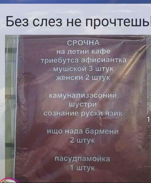 Вот такие объявленья