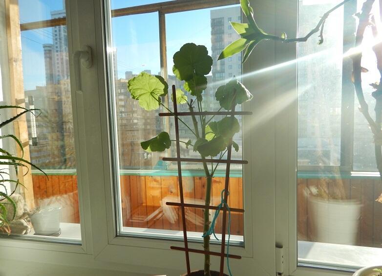 Неужели рассвета рожденье...