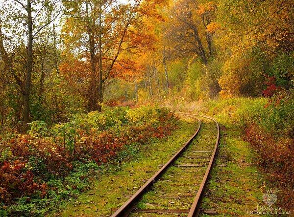 осени расцвет. 